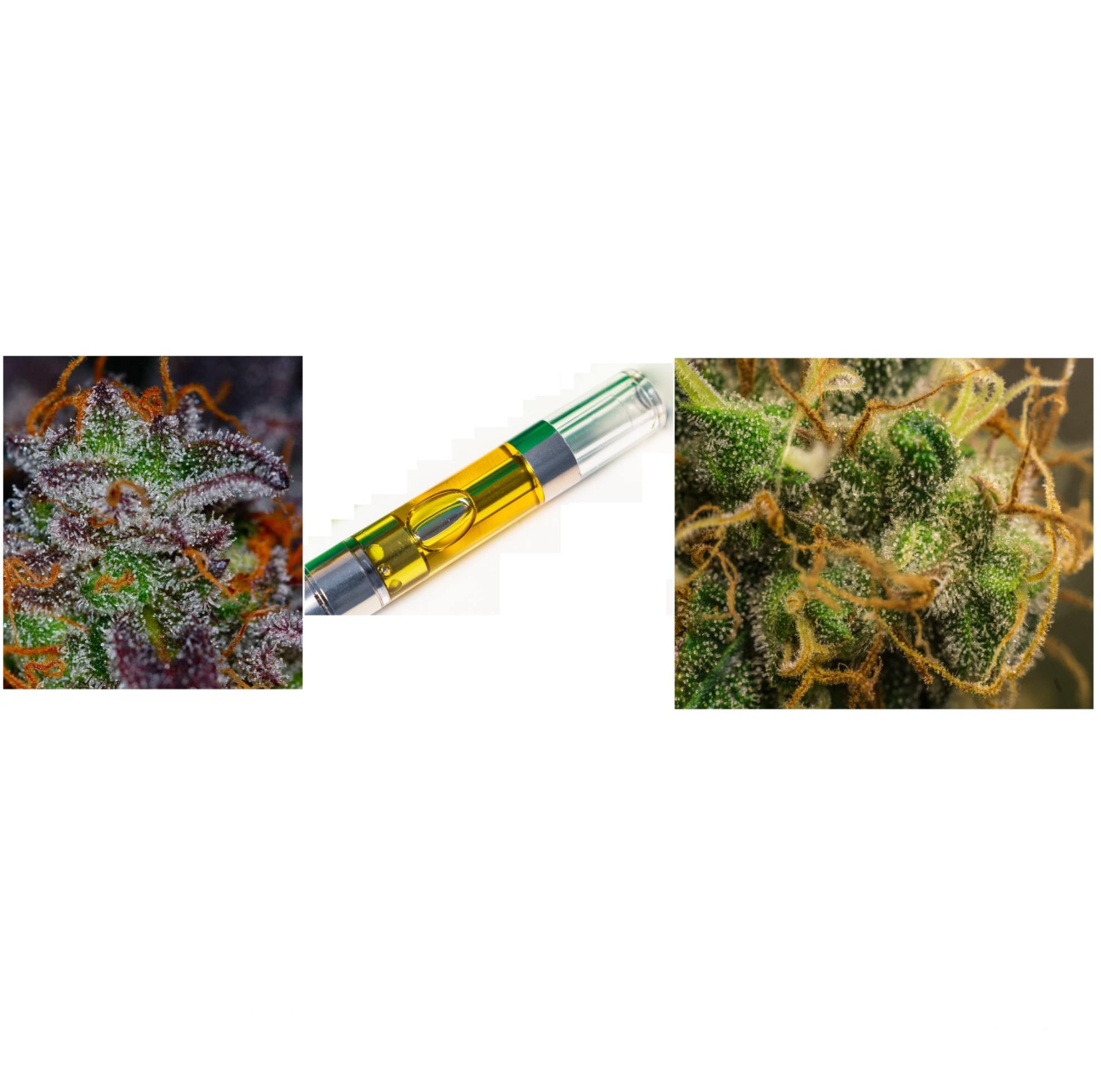 Pro Combo - One Topshelf Cart and Two 1/8 oz Premium Flower - DC Exotic  Gifts Weed Delivery