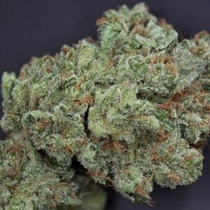 Ghost Train Affordable Sativa