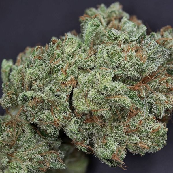 Ghost Train Affordable Sativa