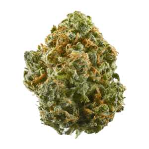 New York Cheese Affordable Sativa
